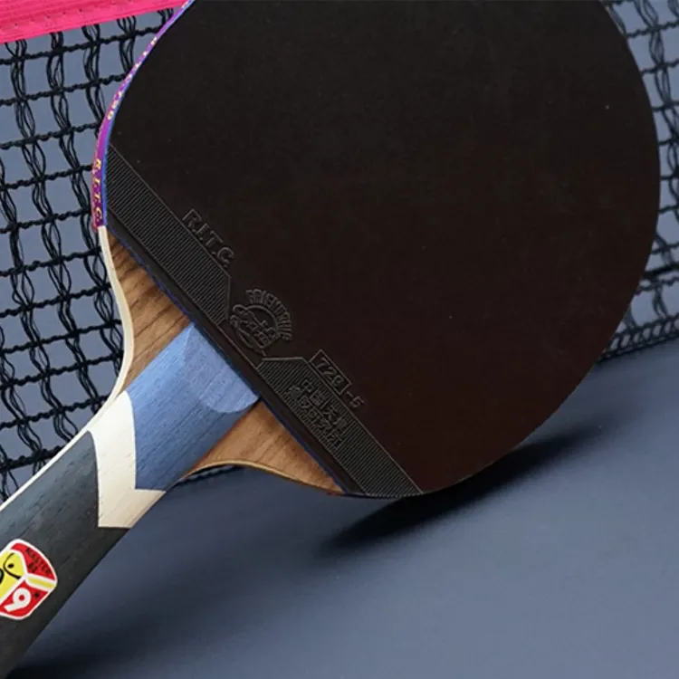 730 Ping Pong Paddles-2