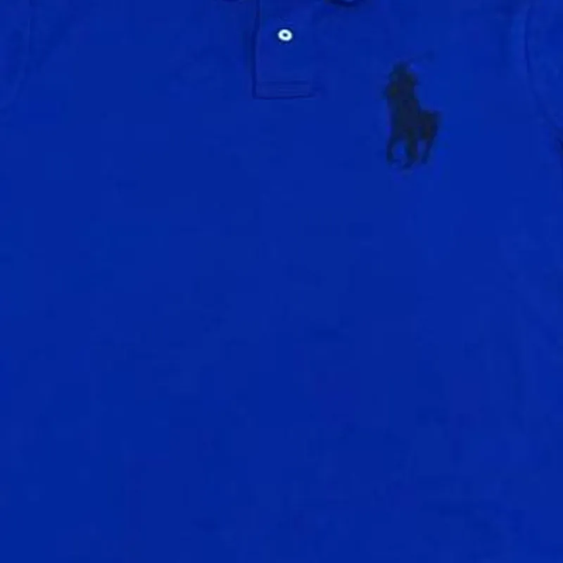 Polo Ralph Lauren Polo Shirt Men's Blue-4