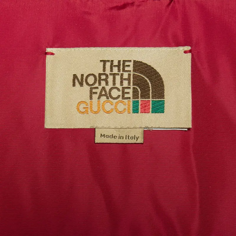 GUCCI X The North Face Down Coat-4