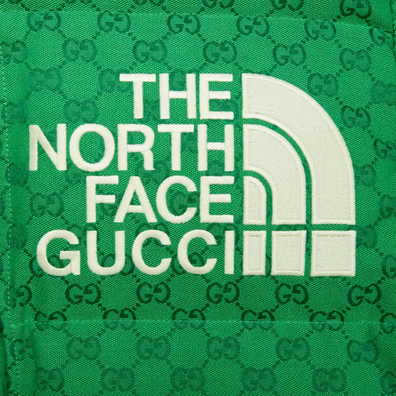 GUCCI X The North Face Down Coat-2