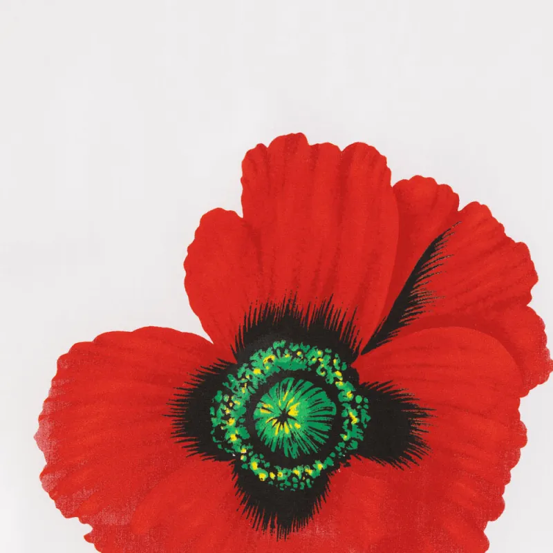 KENZO Poppy By Nigo Hawaiian Shirt-3