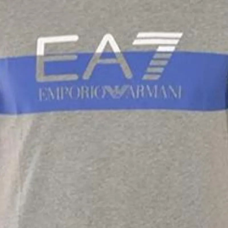 EMPORIO ARMANI EA7 T Shirt Men's Gray-4
