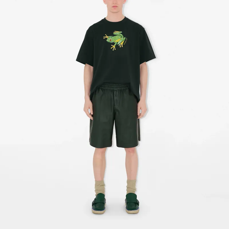 Burberry T-Shirts Men Green-3