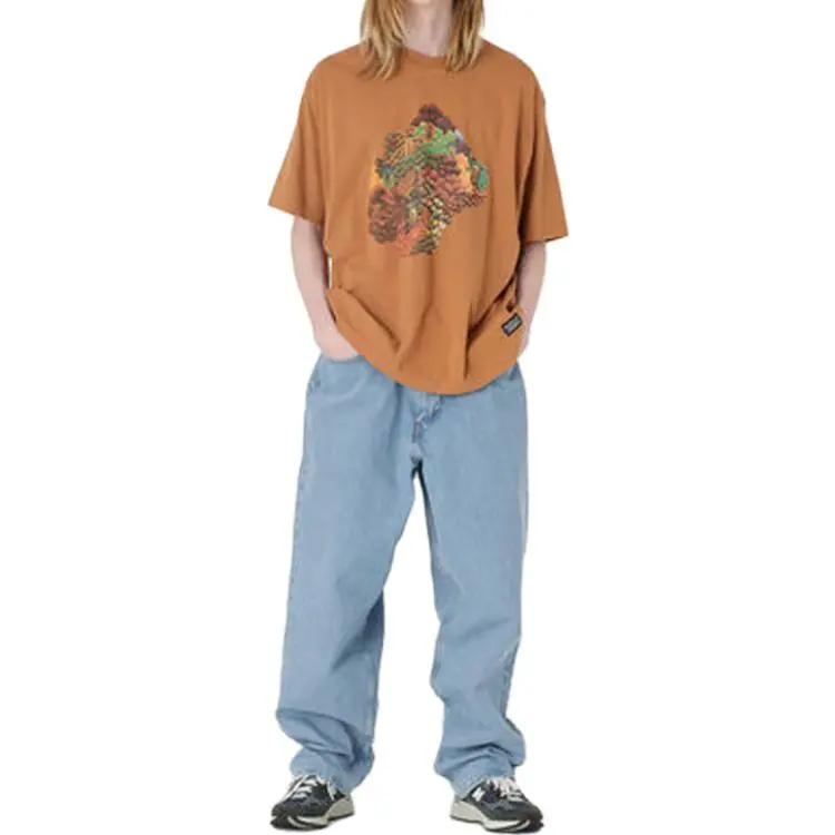 Levis T Shirts Men Brown-2