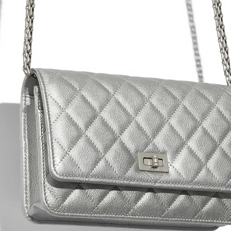 CHANEL WOC Crossbody Bags-3