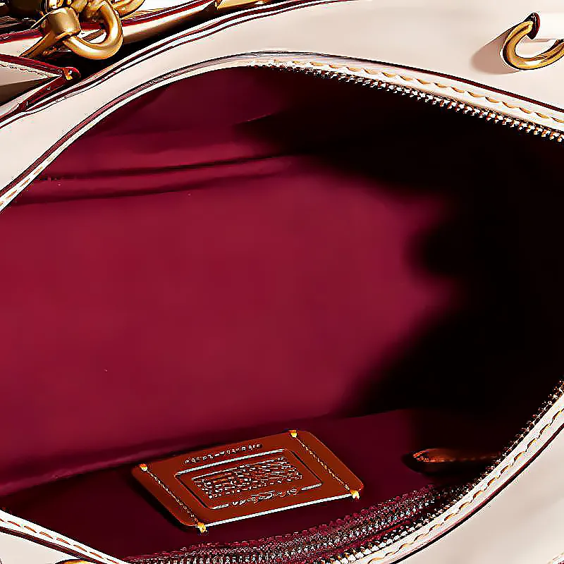 COACH Dreamer Handbags-4