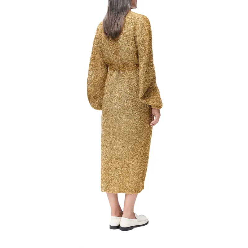 LOEWE SS25 Women's Pre Selection Collection Coat Women's Gold-2