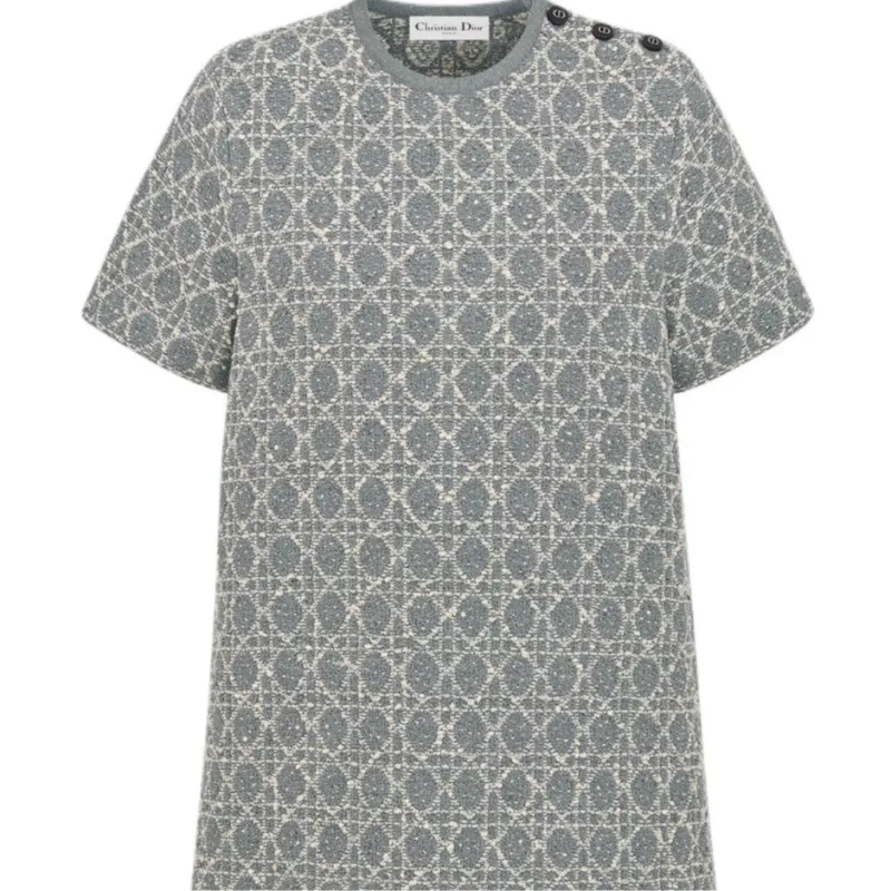DIOR FW25 Short Sleeved Dress Women's Gray-2