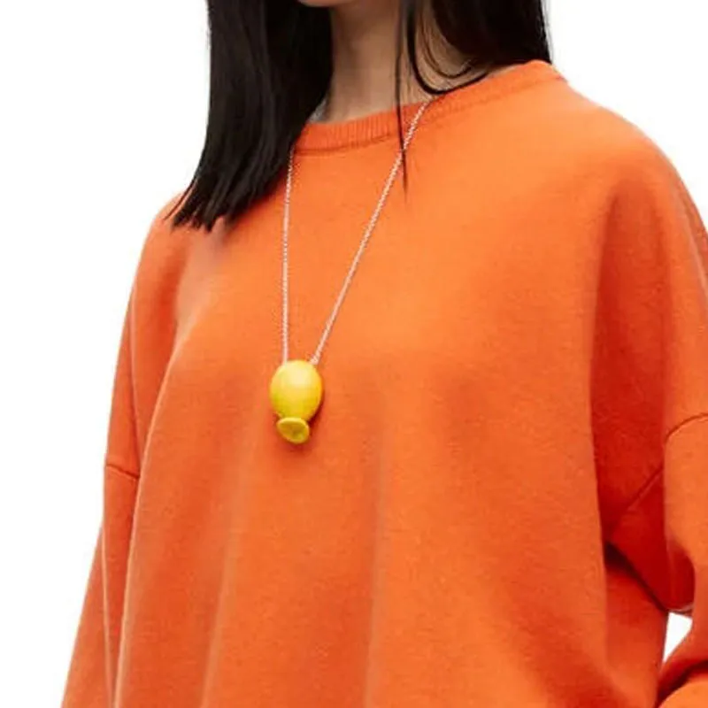 LOEWE FW22 Sweater Women's Orange-2