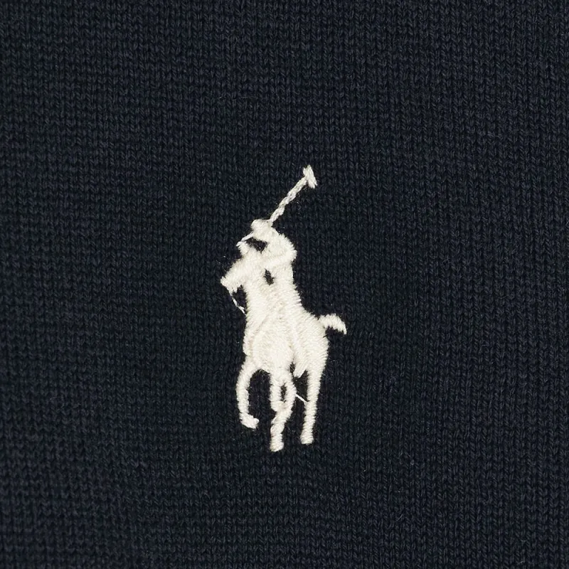 Polo Ralph Lauren Short Sleeve Cotton Sweater Polo-4