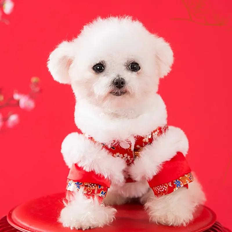 Hippie dogs Pet Clothing-3