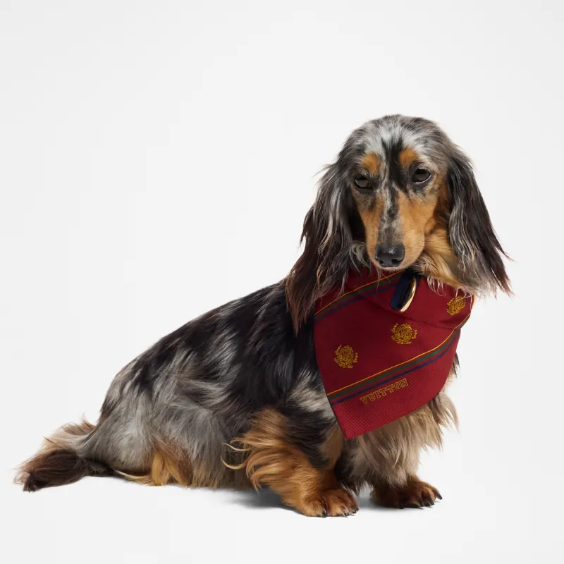 LOUIS VUITTON Pet Clothing-1