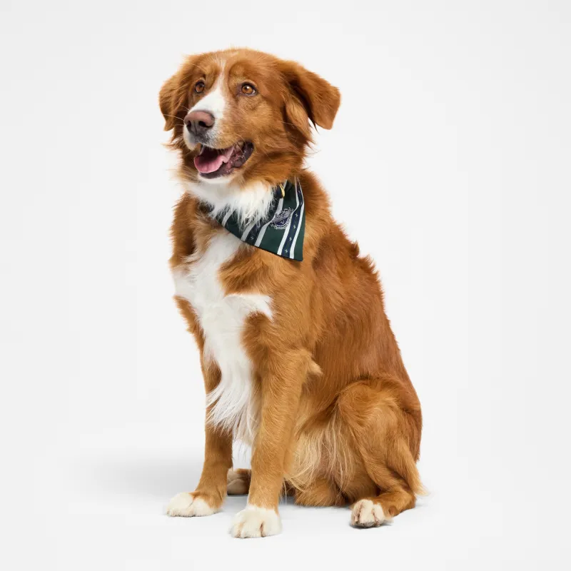 LOUIS VUITTON Pet Clothing-1