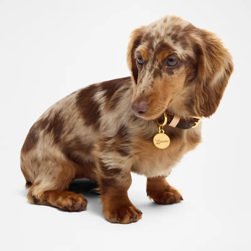 LOUIS VUITTON Cat Collar & Dog Collar 31 X 0.5 X 1.5 Cm Length X Height X Width-1