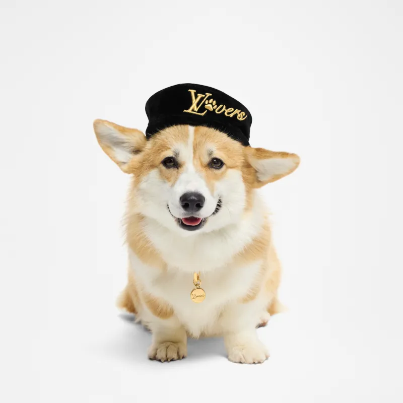 LOUIS VUITTON Pet Clothing-1
