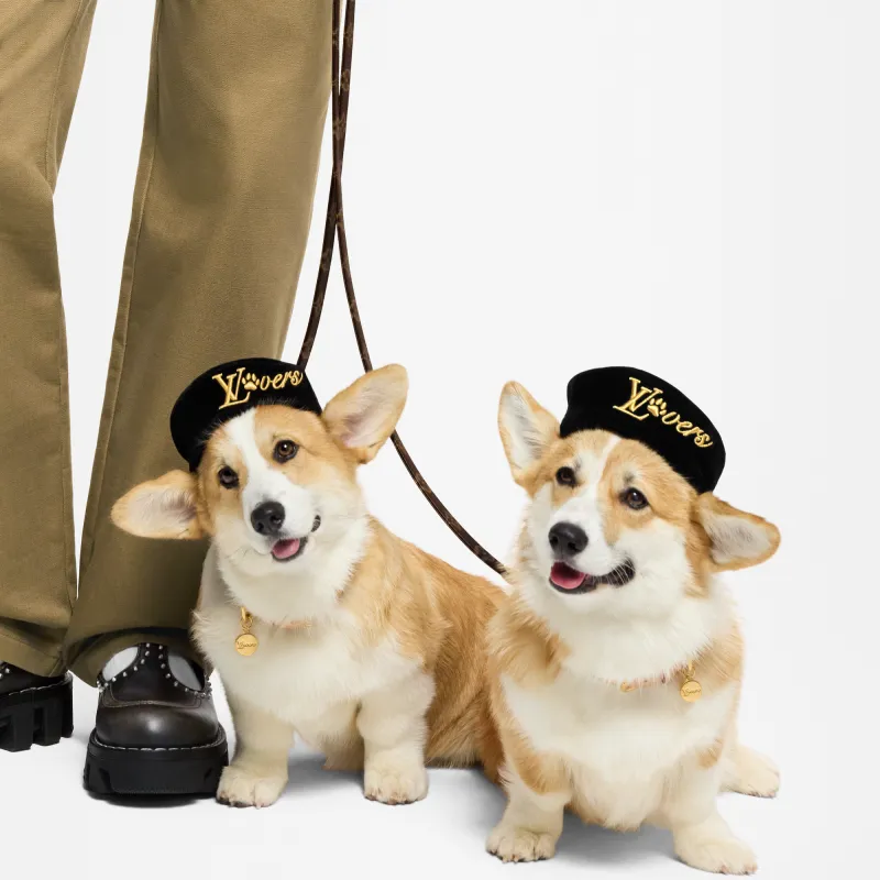 LOUIS VUITTON Pet Clothing-2