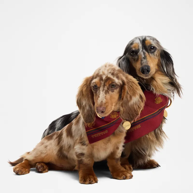 LOUIS VUITTON Pet Clothing-2