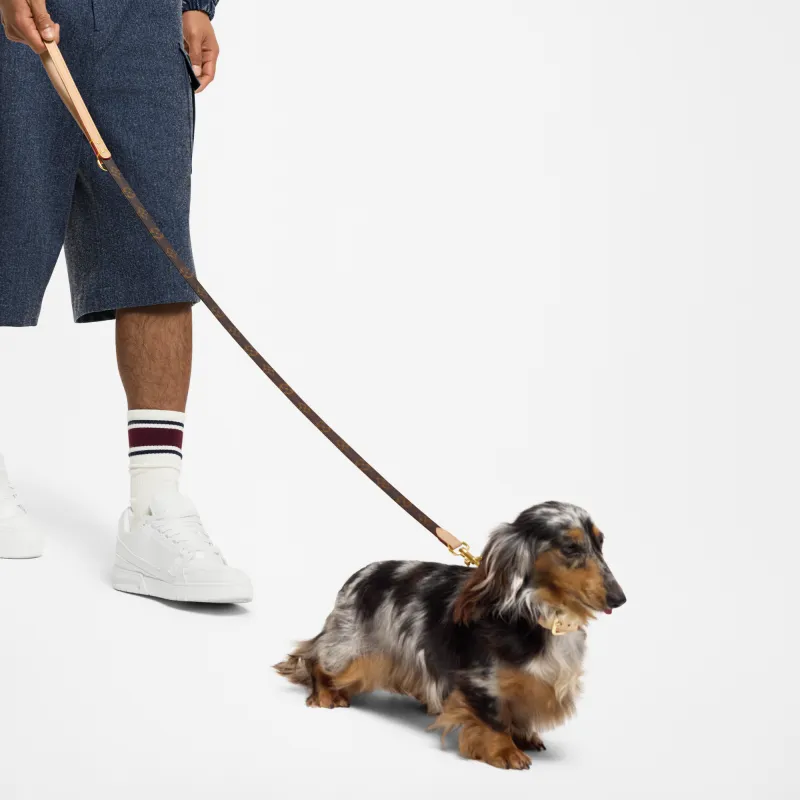 LOUIS VUITTON Leashes-1