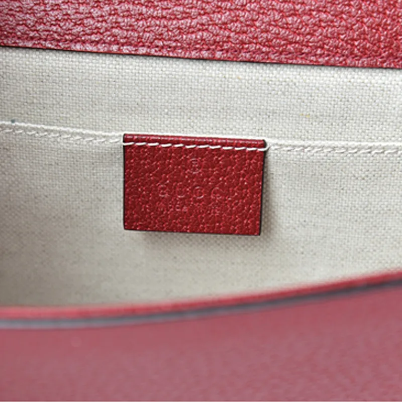 GUCCI Dionysus Clutches-4