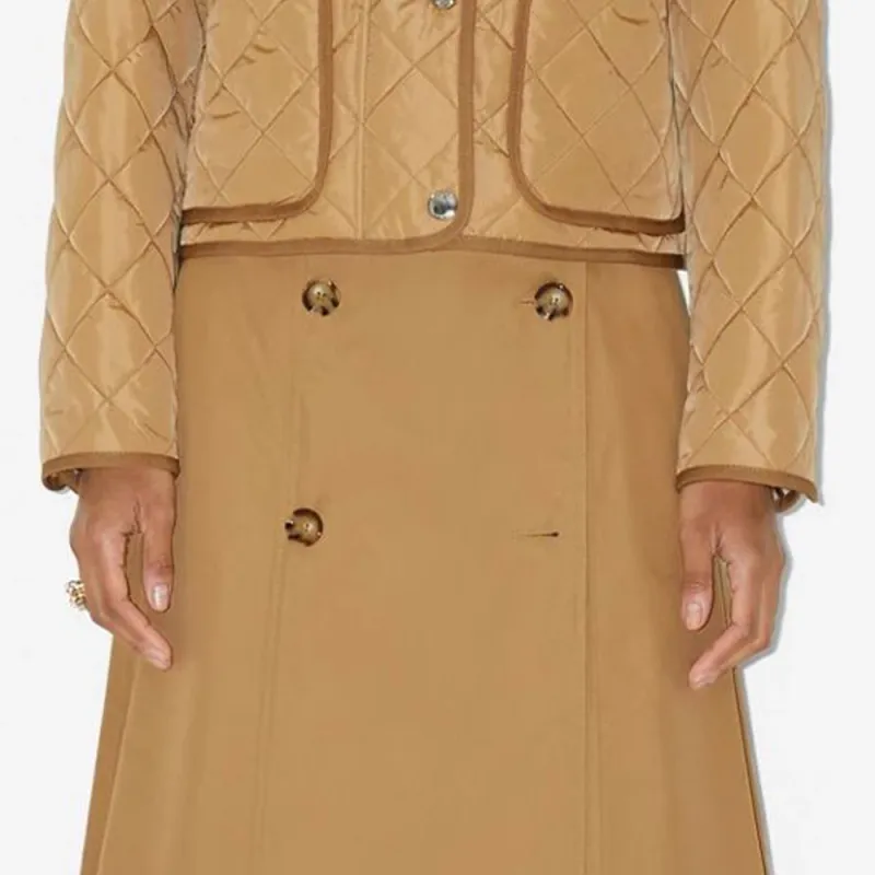 Burberry Belted waist Flared Skirt-4