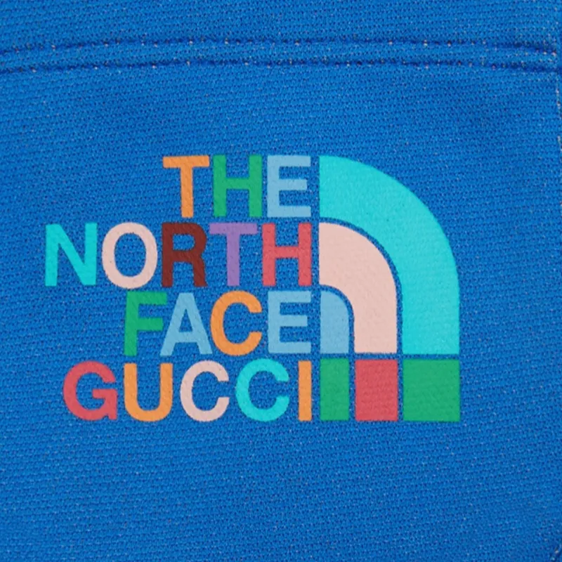 GUCCI X The North Face Nylon Shorts-5