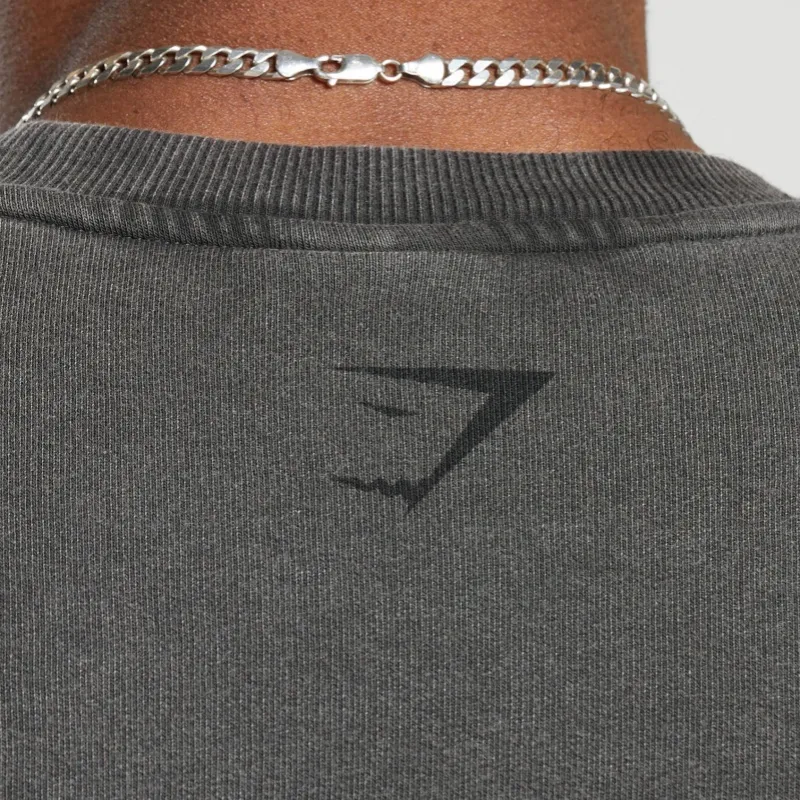 GYMSHARK T Shirt Men's Agate Gray-5