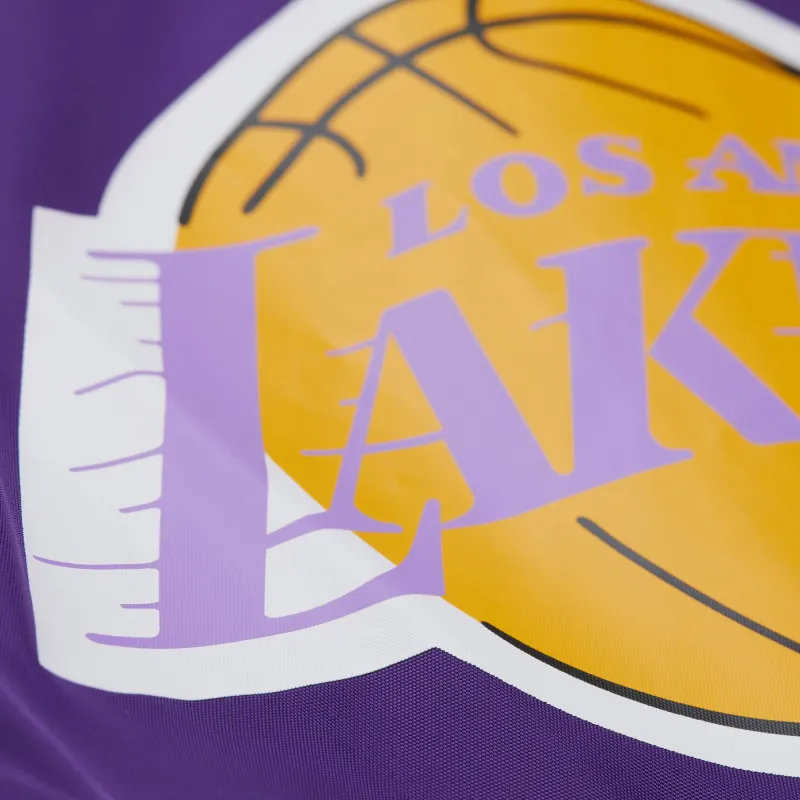 Mitchell & Ness x NBA Los Angeles Lakers Lifestyle Sports Shorts Women's Purple-2