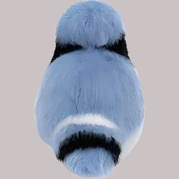 JELLYCAT Birdling Blue Jay Stuffed Animal-2