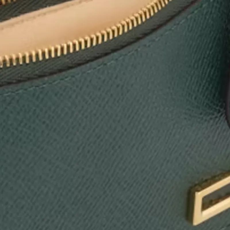 Delvau Shiny Grained Alpina Calf Calfskin Card Holder Women's Green-3