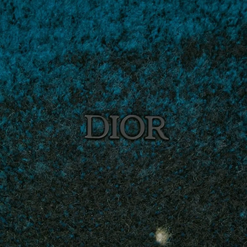DIOR X Peter Doig Zipped Hooded Blouson-6