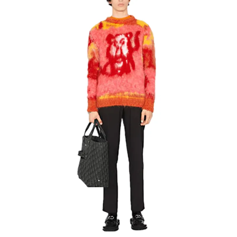 DIOR Quarterly New Products Sweaters Men Multicolor-2