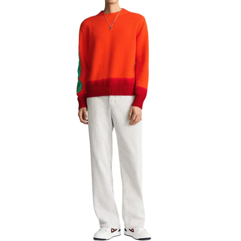 DIOR Dior And Kaws Capsule Collection SS25 Sweater Men's Orange-2