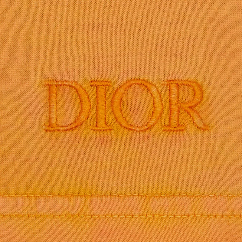 DIOR Quarterly New Products T-Shirts Men Yellow-4