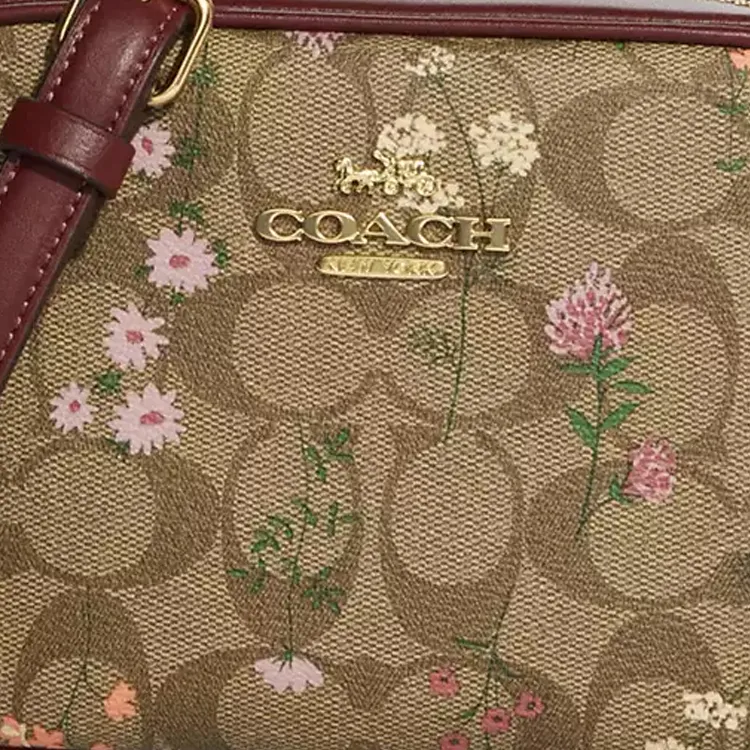 COACH Camera Crossbody Bags-4