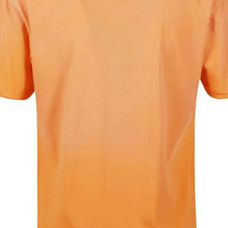 Polo Ralph Lauren Logo Printed Crewneck T Shirt-4