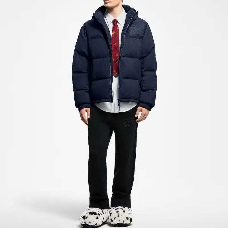 LOUIS VUITTON Down Blouson-2