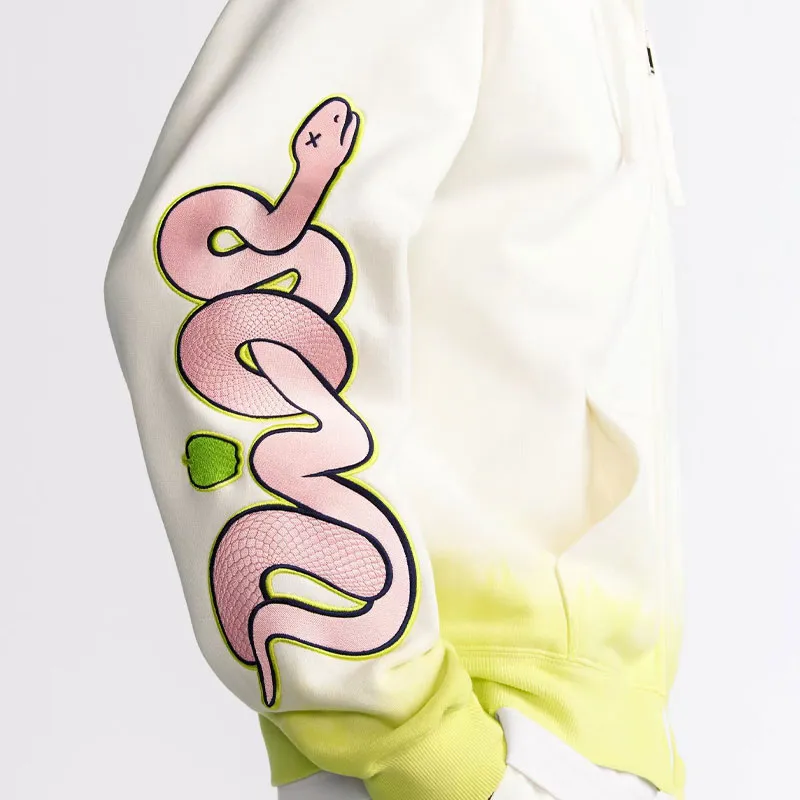 DIOR X Kaws Hooded Sweatshirt-5