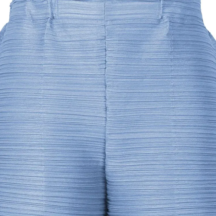 PLEATS PLEASE ISSEY MIYAKE Wide leg Trousers-1