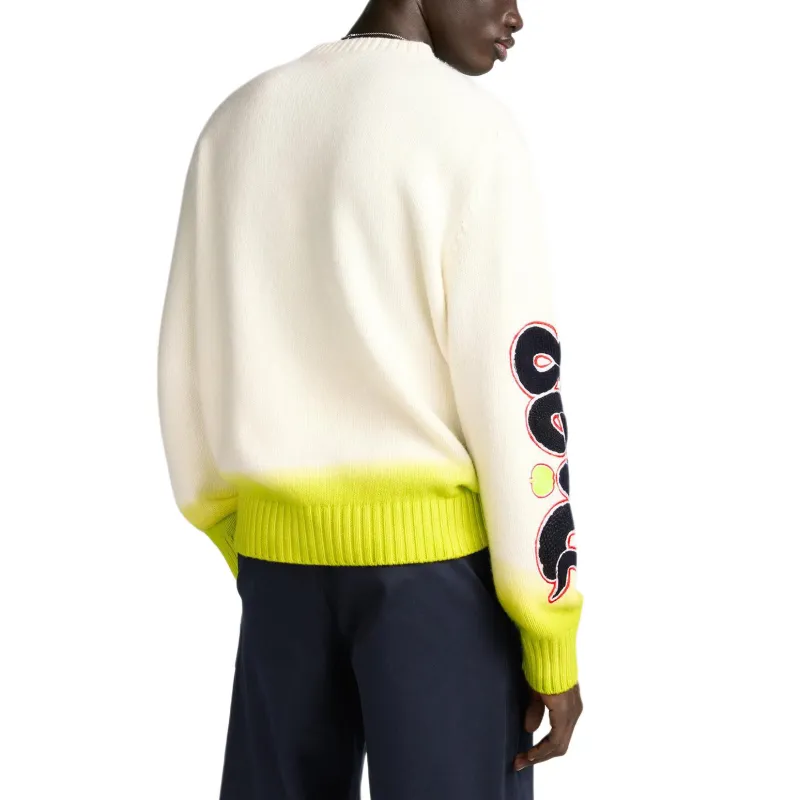 DIOR X Kaws Sweater-4