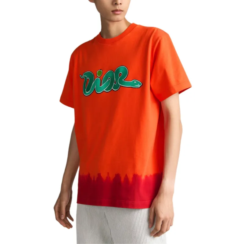DIOR X Kaws Relaxed Fit T shirt-1