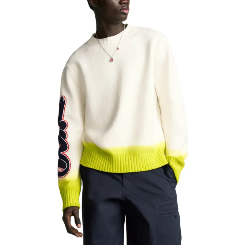 DIOR X Kaws Sweater-3