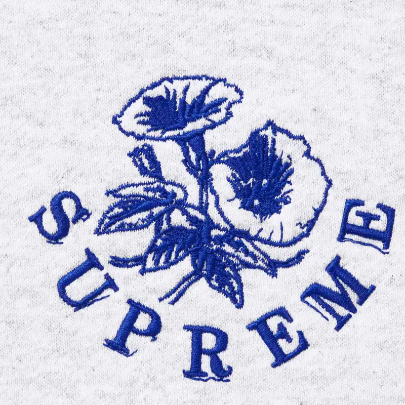 Supreme Wild Embroidered Hooded Sweatshirt-2