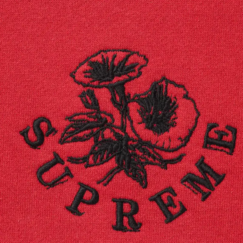 Supreme Wild Embroidered Hooded Sweatshirt-8
