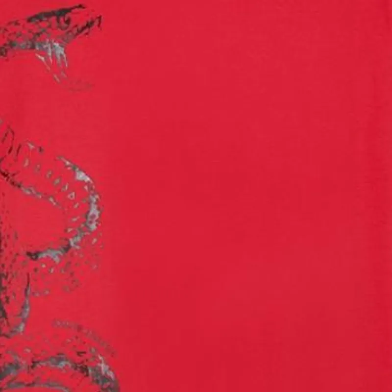 ARMANI EXCHANGE Chinese New Year T shirt-4