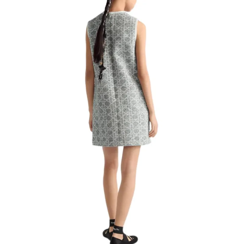 DIOR FW25 Sleeveless Dress Women's Gray-3