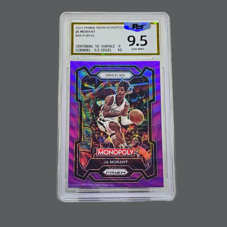 PANINI Graded Cards-2