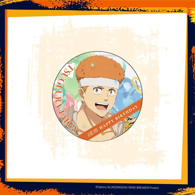 Aniple Windbreaker Mulberry River Badges-1
