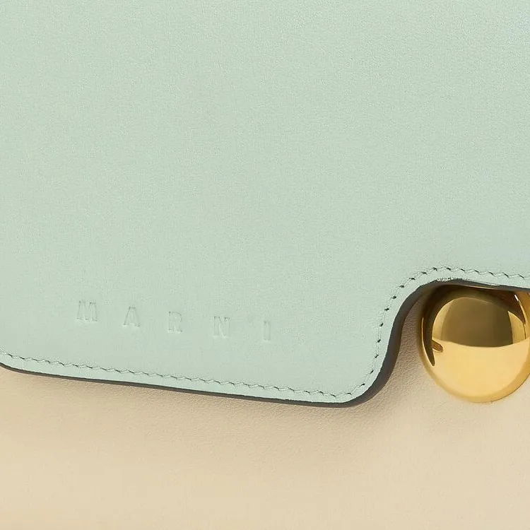MARNI Trunkaroo Calfskin Shoulder Bag, Crossbody Bag Women's Green & Cream & Brown-3
