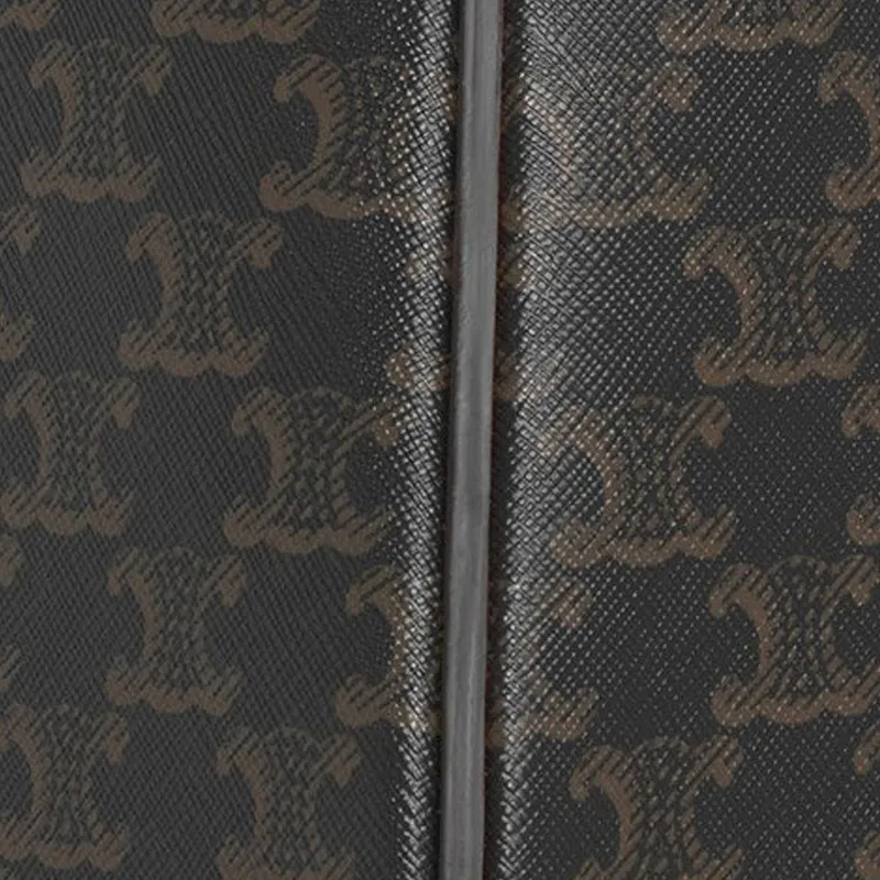 CELINE Triomphe Handbags-4