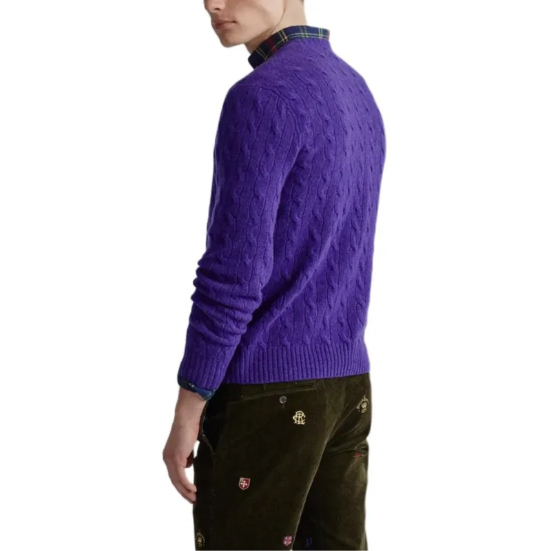 Polo Ralph Lauren FW23 Sweater Men's Purple-2